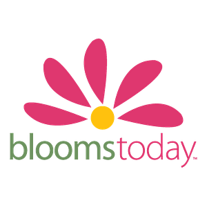 Bloomstoday.com